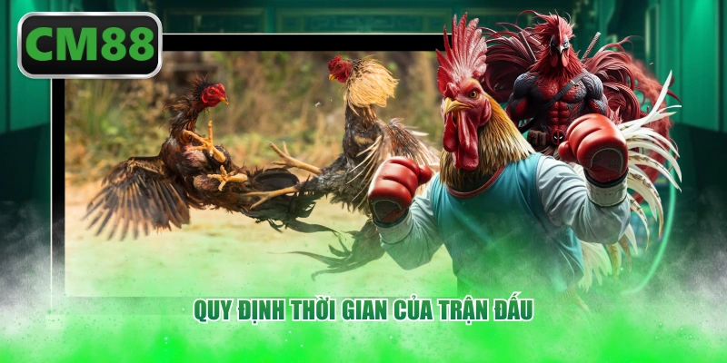 Quy định thời gian của trận đấu