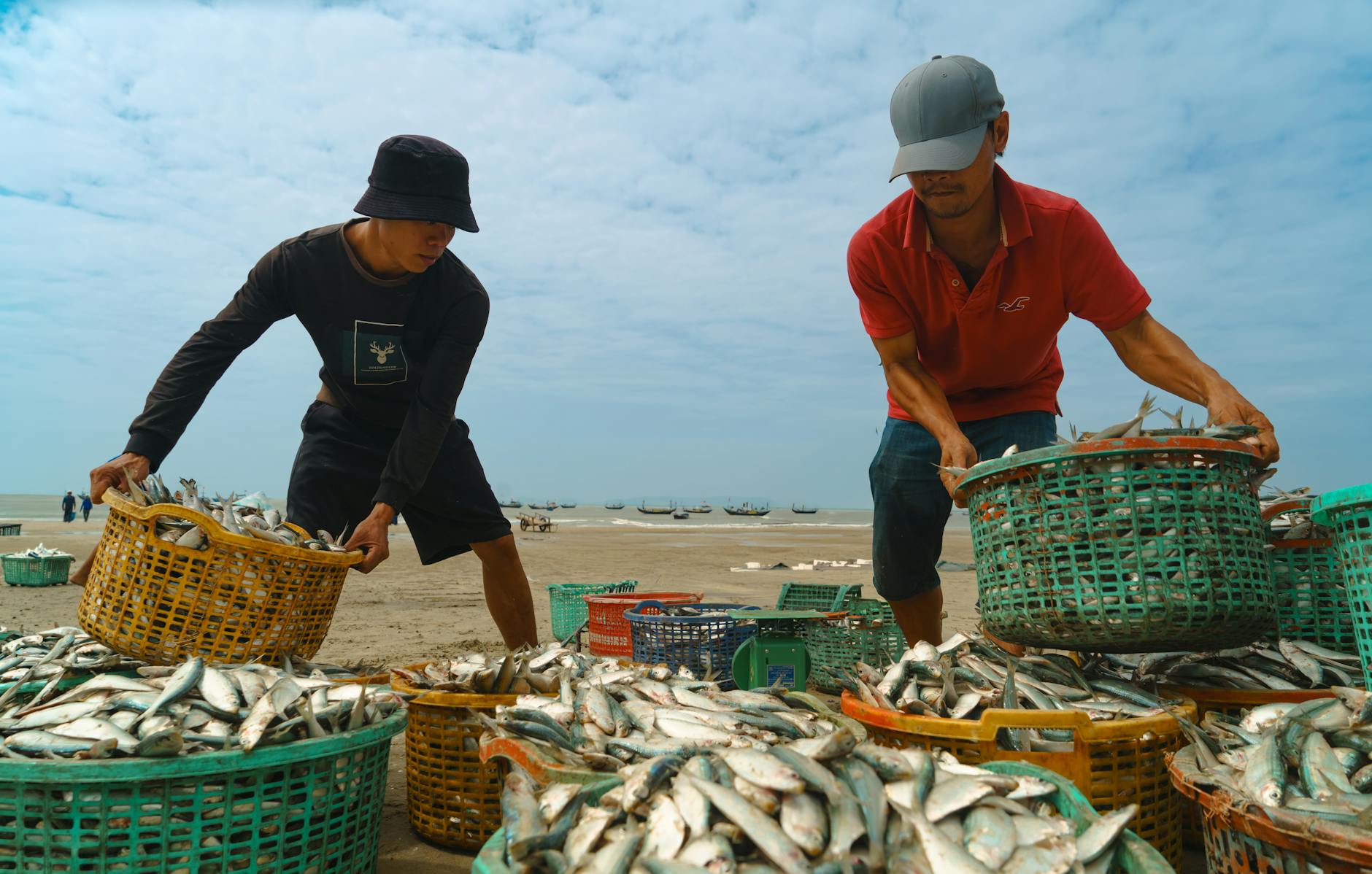 Người chơi bắn cá đang nhắm đàn cá nhỏ ở màn đầu